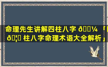 命理先生讲解四柱八字 🌼 「四 🦄 柱八字命理术语大全解析」